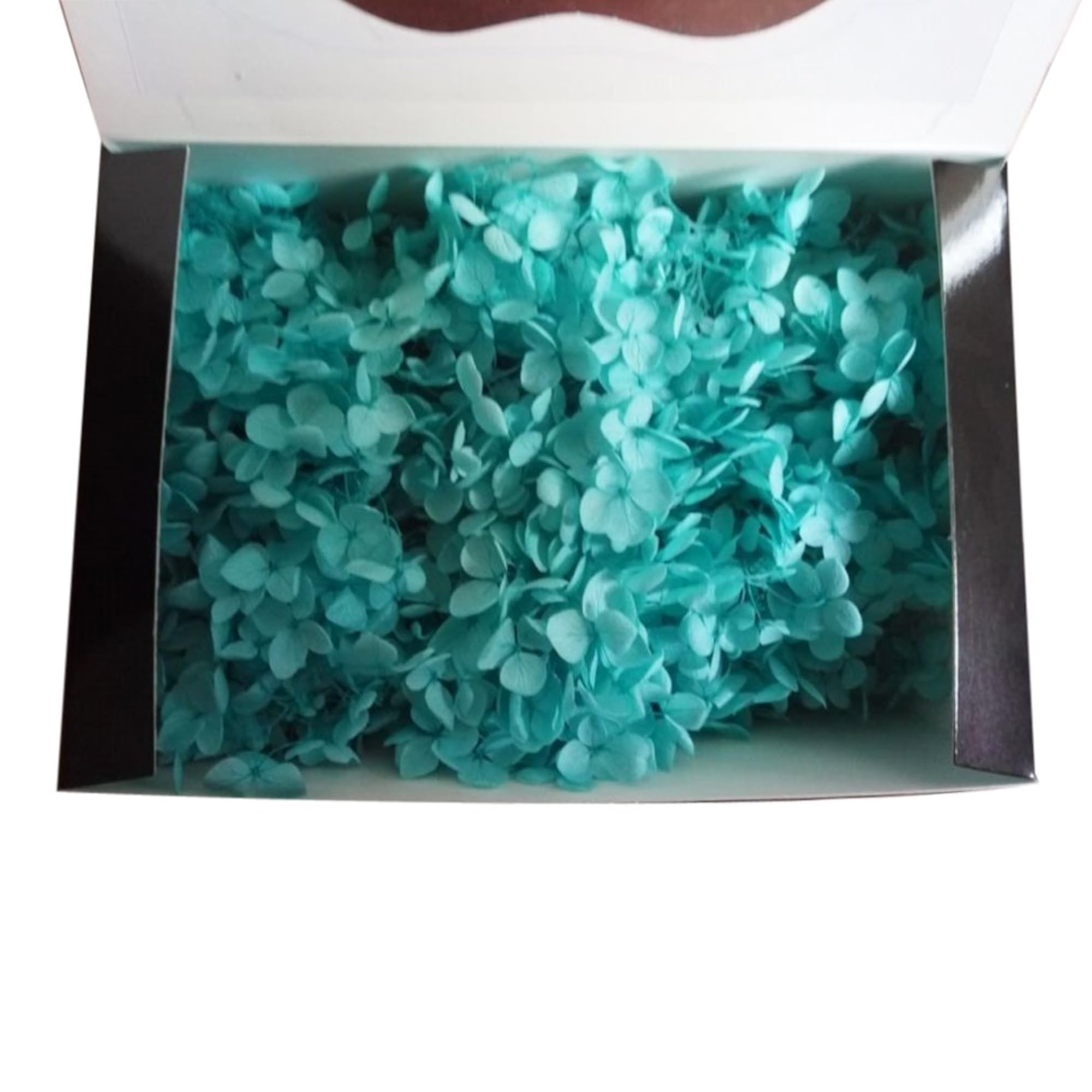 Handmade Unwithered Eternal Preserved Hydrangea – BLING QUEEN
