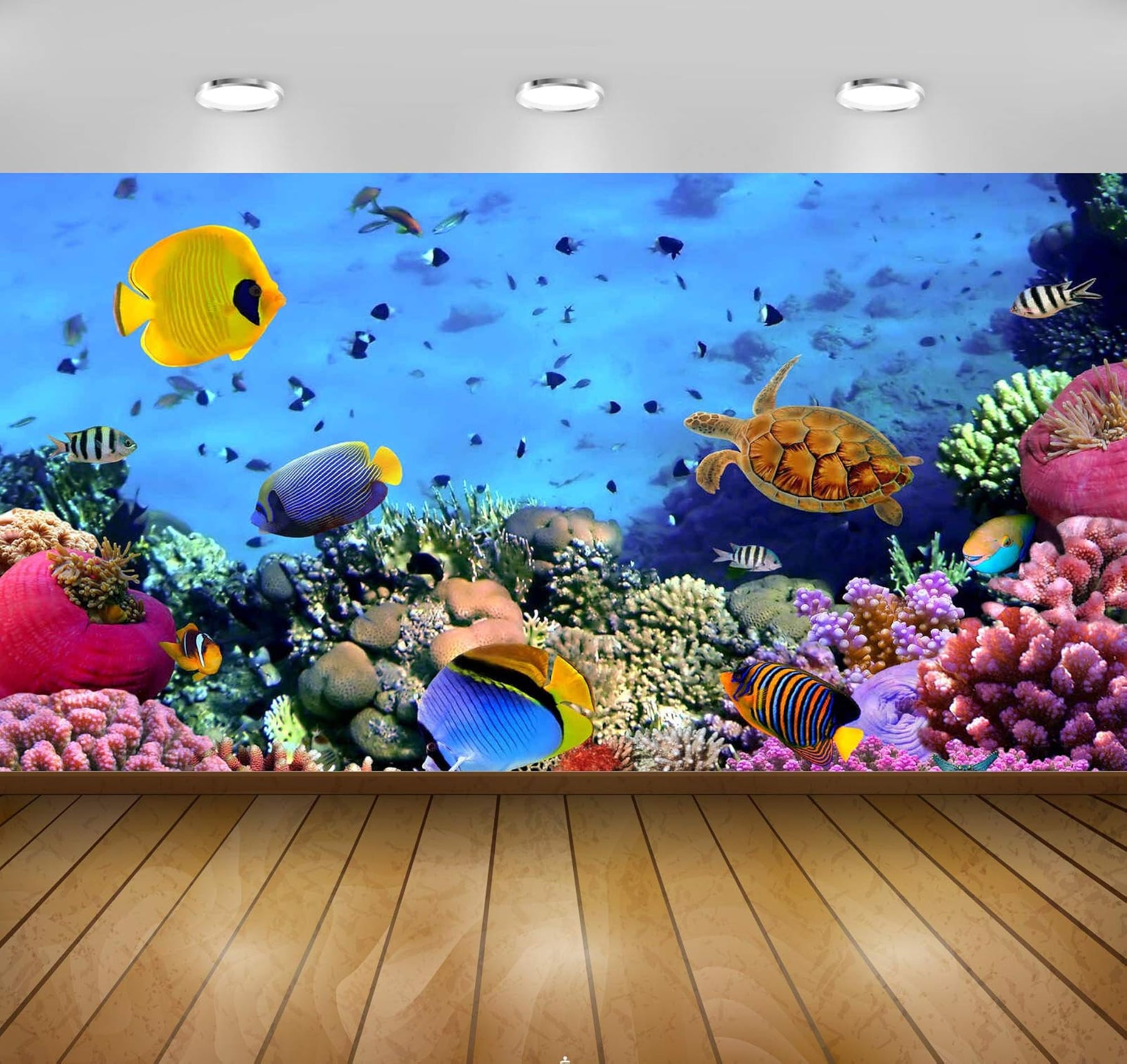 Underwater Full HD Wallpapers, Fish and Corals – BLING QUEEN
